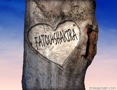 bienvenu dans le monde de fatou shakira